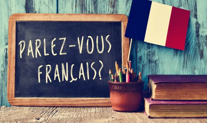 teach you and help you learn french
